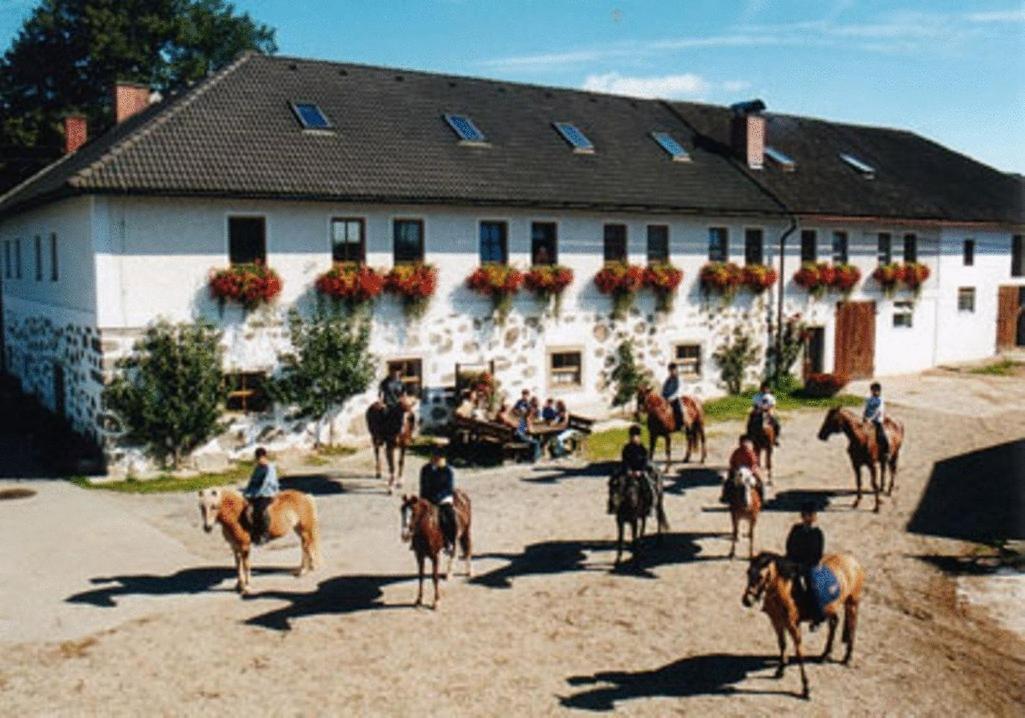 Reiterhof Stoeglehner Villa Rainbach im Muhlkreis Luaran gambar