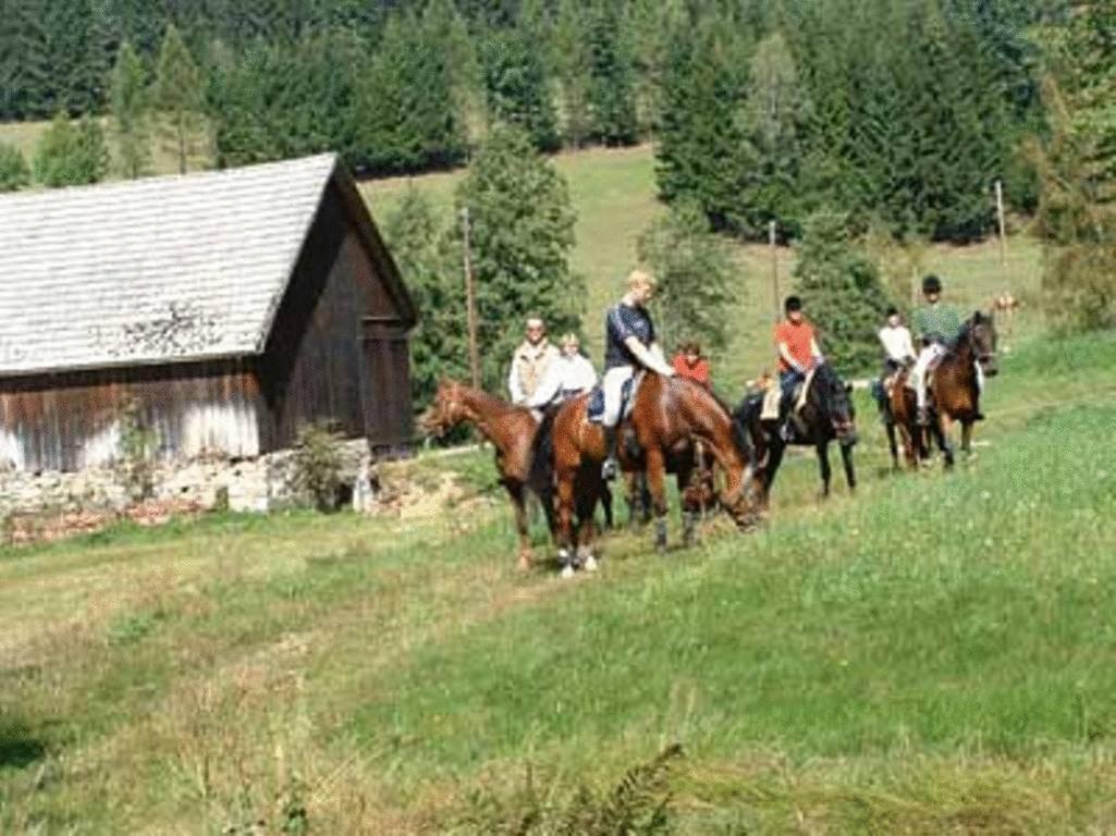 Reiterhof Stoeglehner Villa Rainbach im Muhlkreis Luaran gambar
